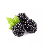 blackberry_web