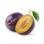 plum_web
